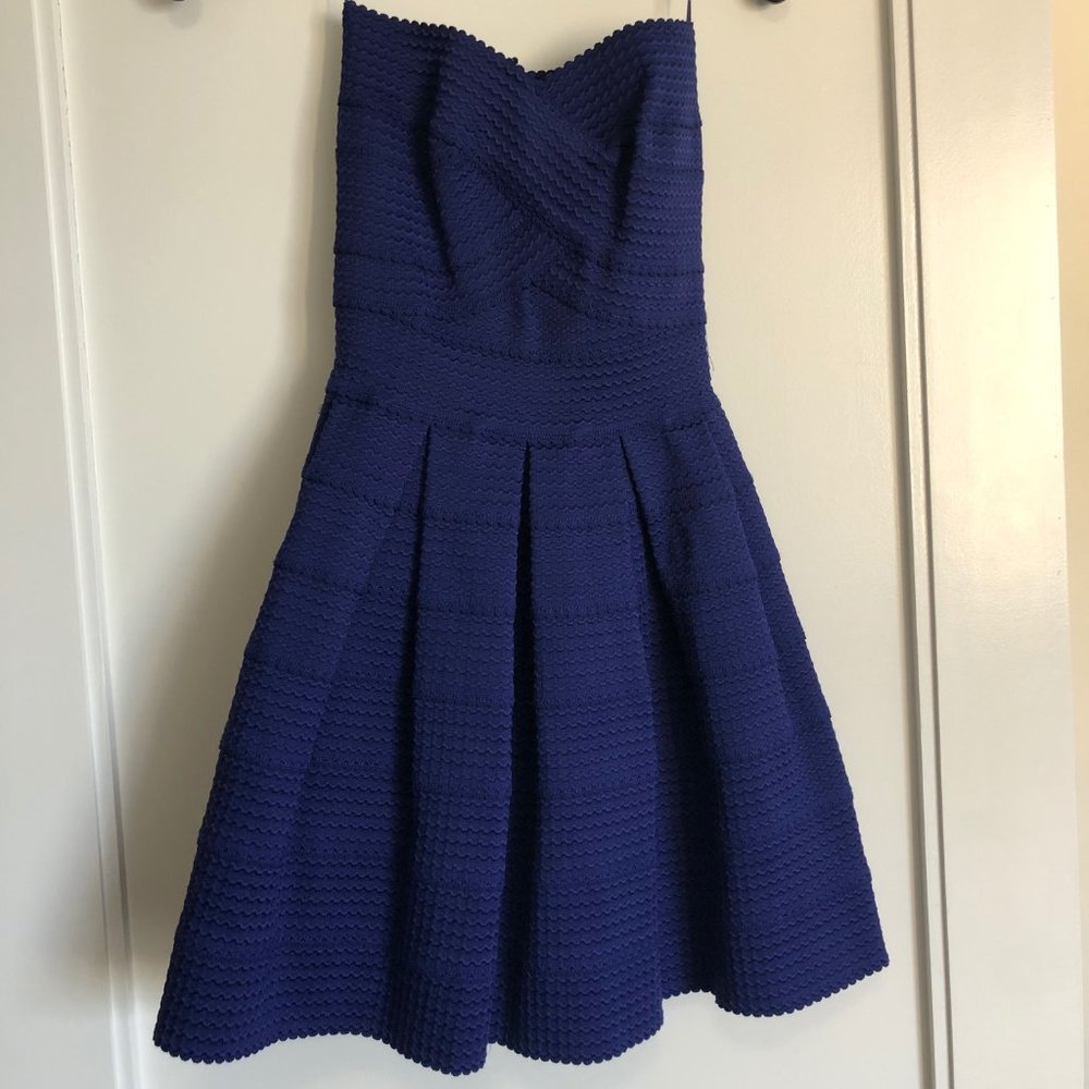 Blue Alythea Fit and Flare Dress